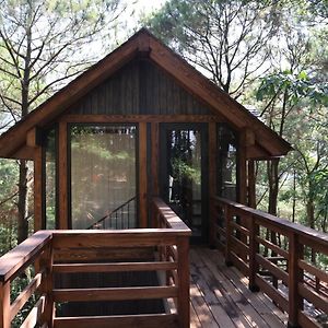 Superior Bungalow